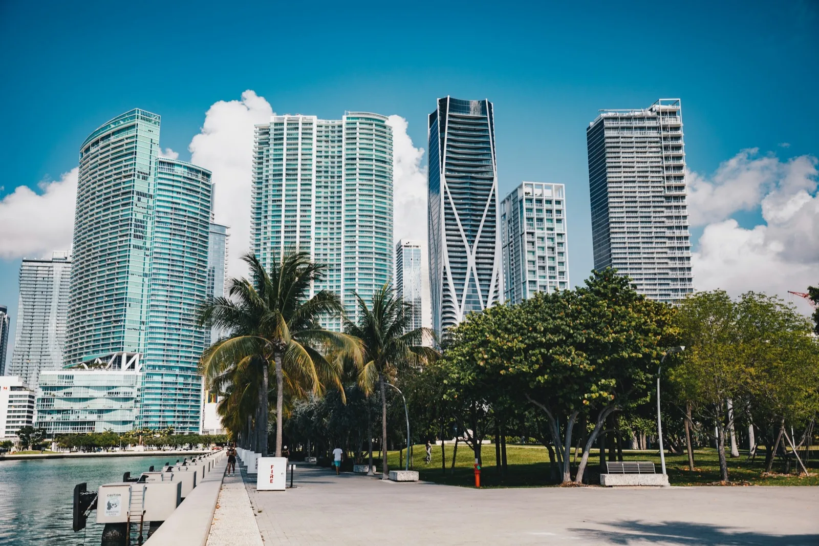 South Florida skyline with palm trees under a blue sky